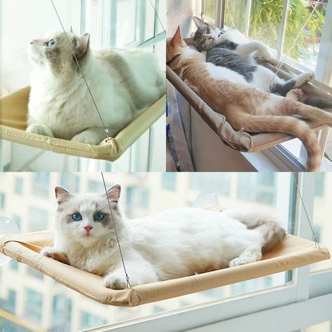 Hanging cat bed