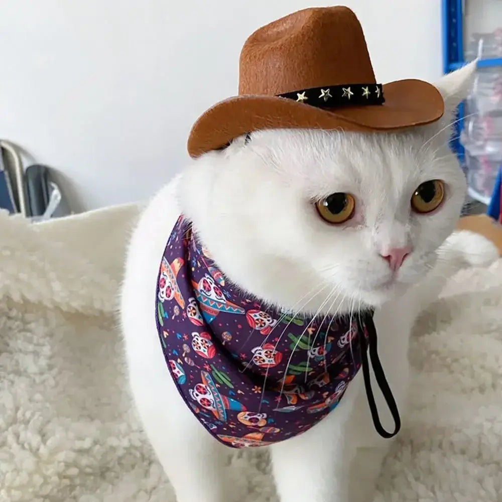 Cowboy hat pet