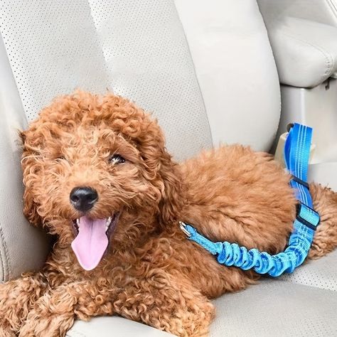 Car safety belt pet leash