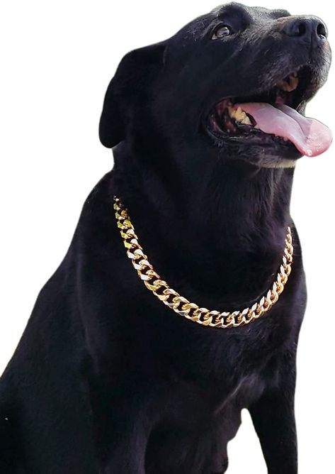 Gold Chain pet collar