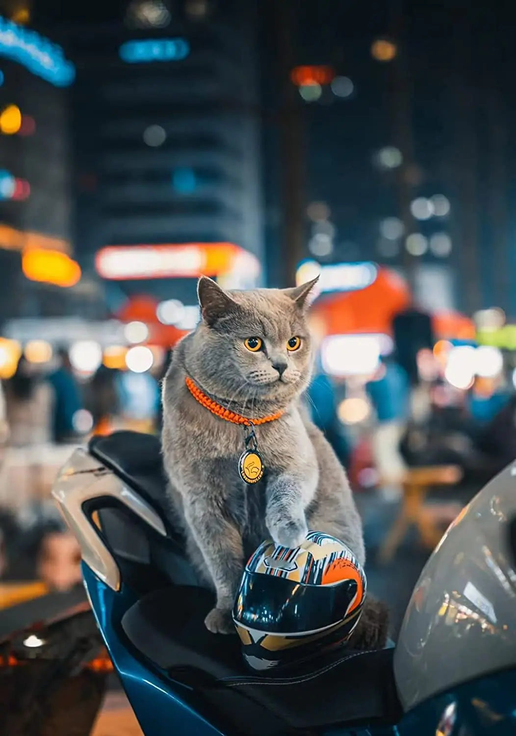 Pet motorcycle helmet