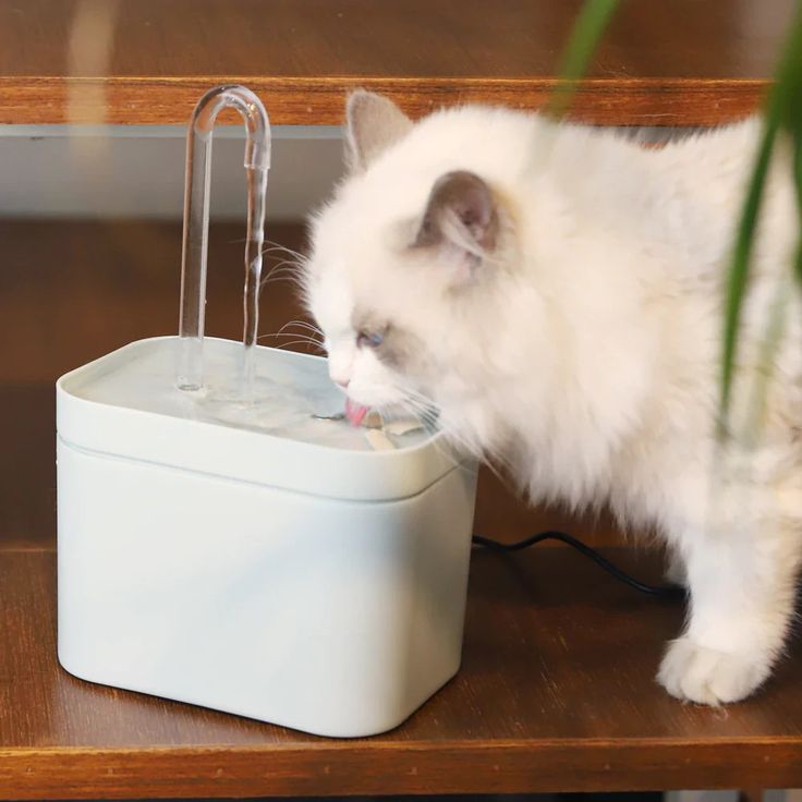 Pet water fountain