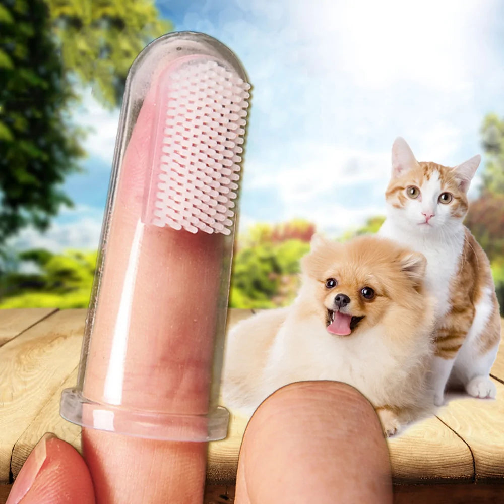 Pet finger toothbrush