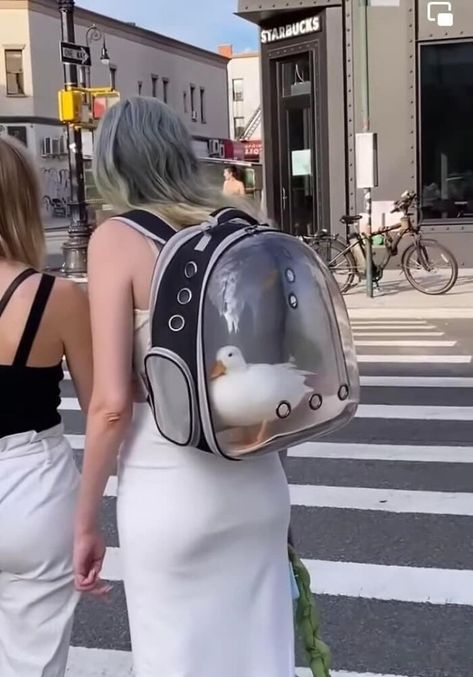 Pet backpack