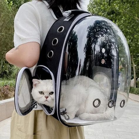 Pet backpack