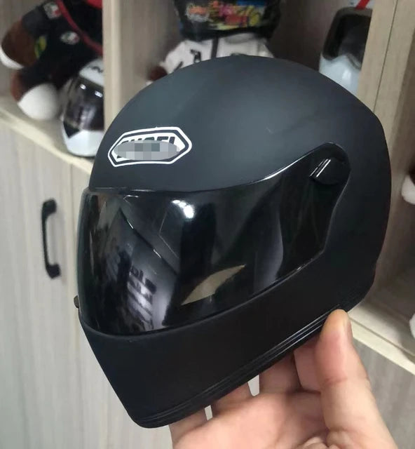 Pet motorcycle helmet