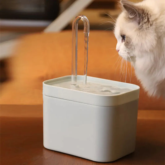 Pet water fountain