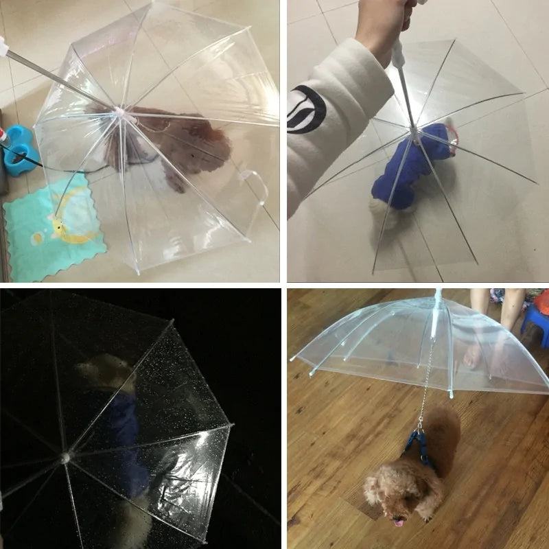 Pet umbrella