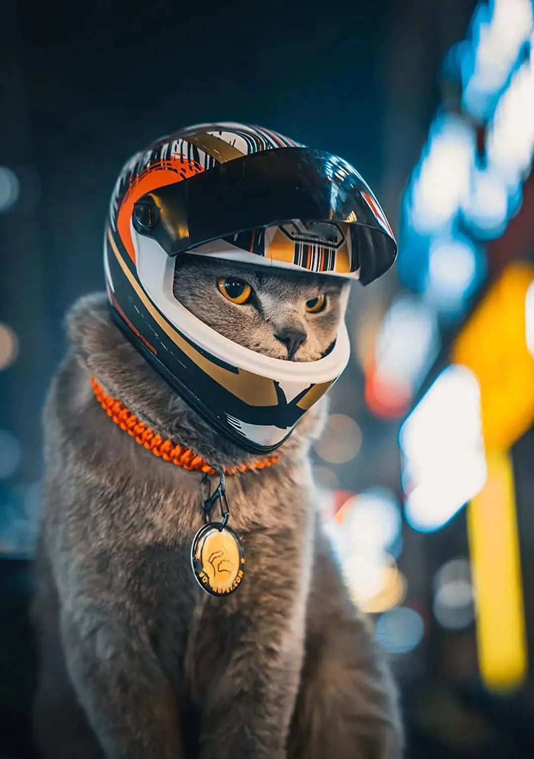 Pet motorcycle helmet