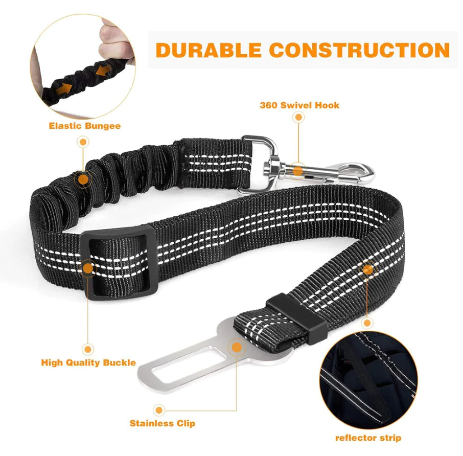 Car safety belt pet leash