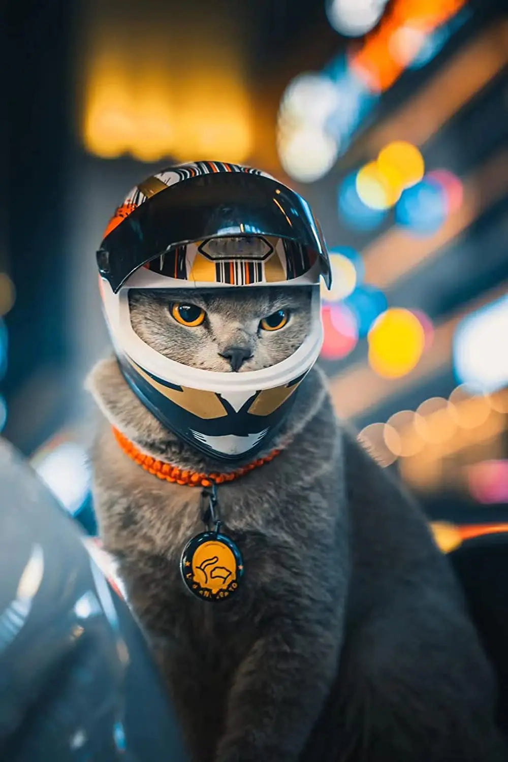 Pet motorcycle helmet