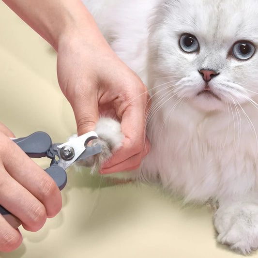 Pet clipper