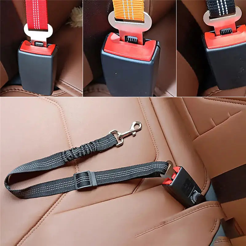 Car safety belt pet leash