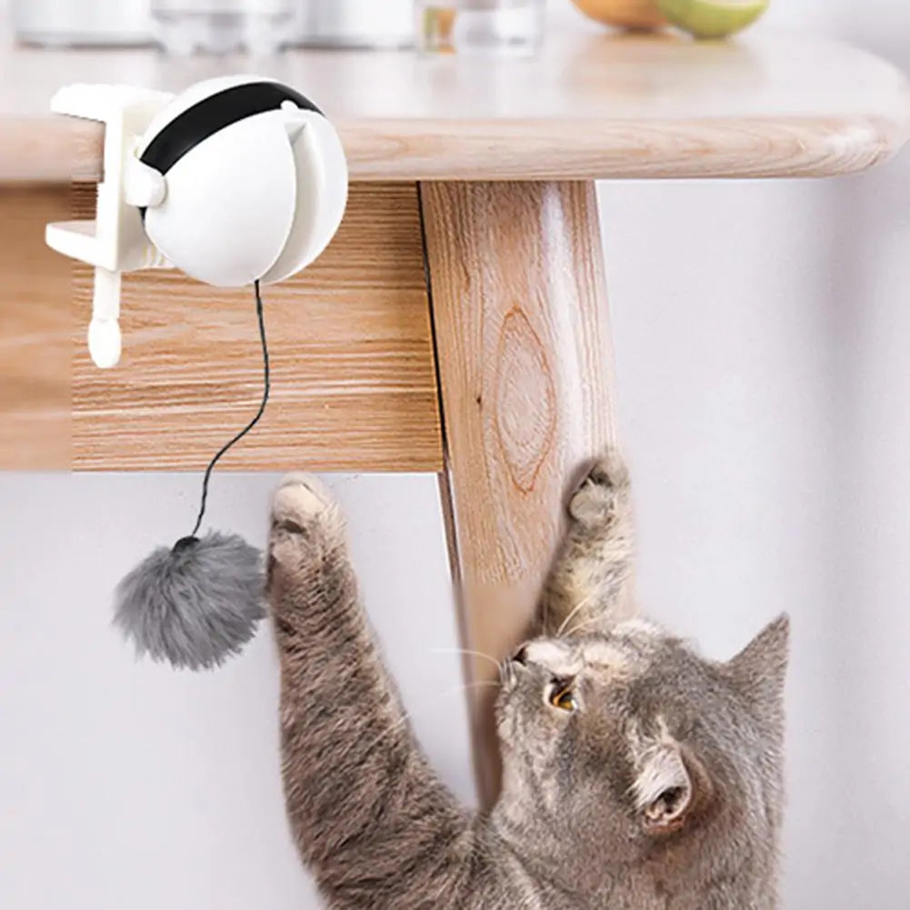 Electronic cat ball