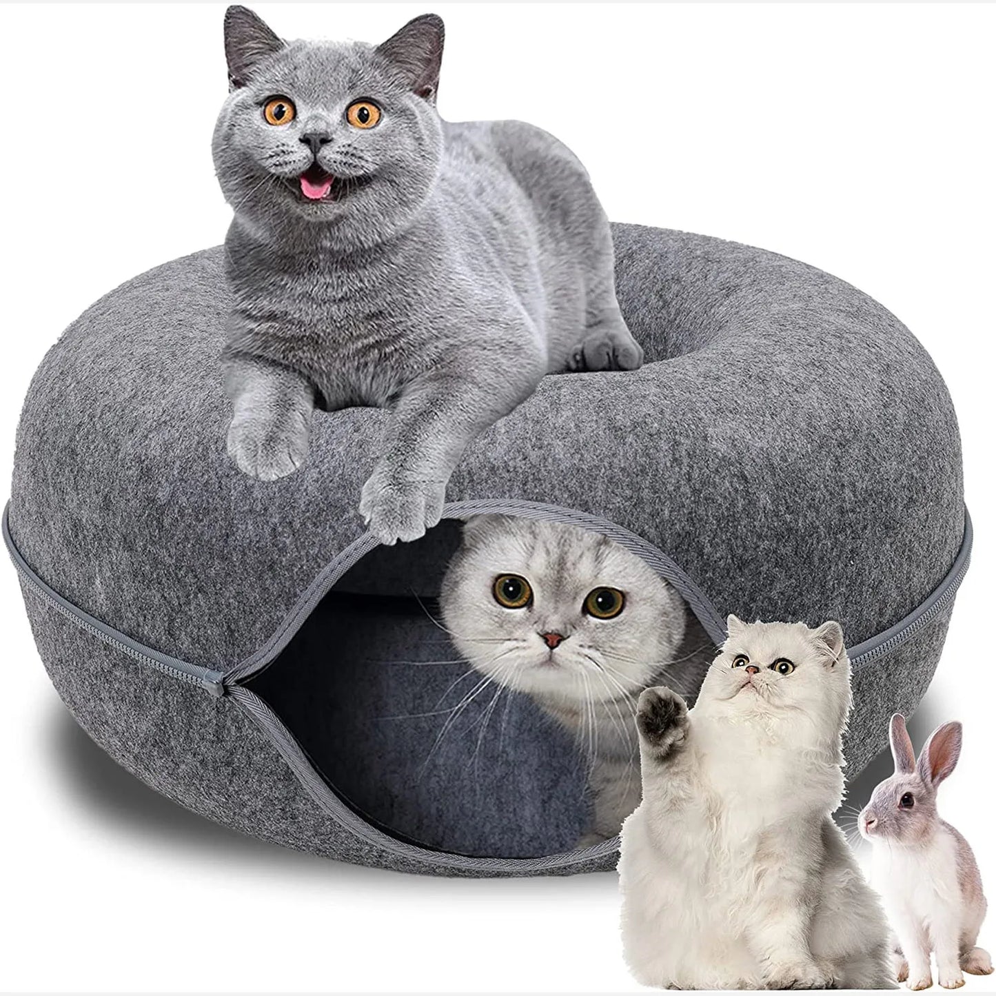 Cats donut tunnel