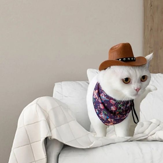 Cowboy hat pet