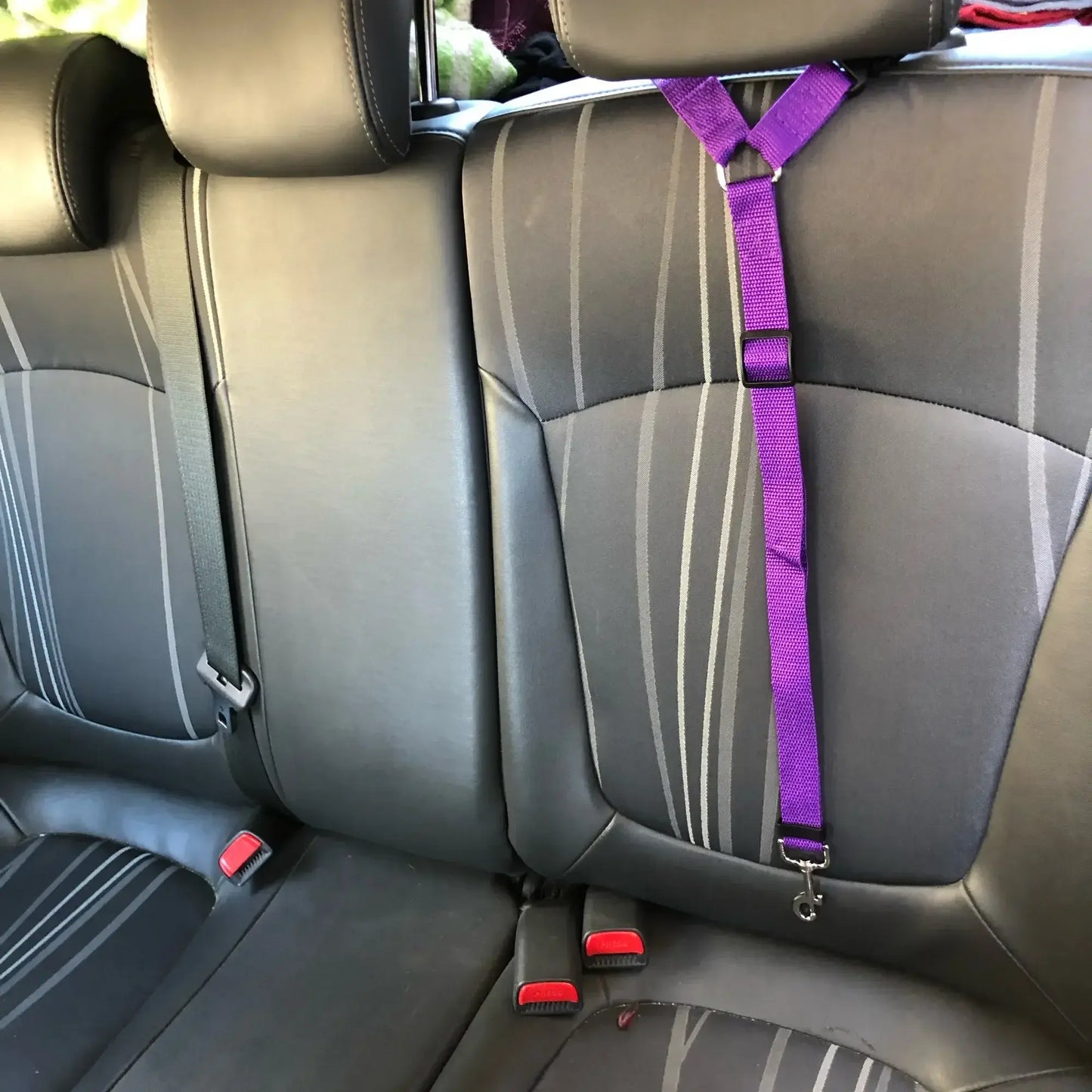 Pet seat belt