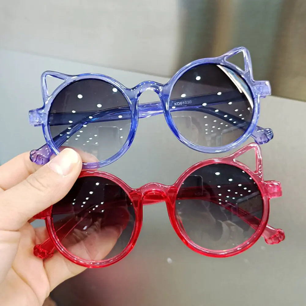 Kitten sunglasses