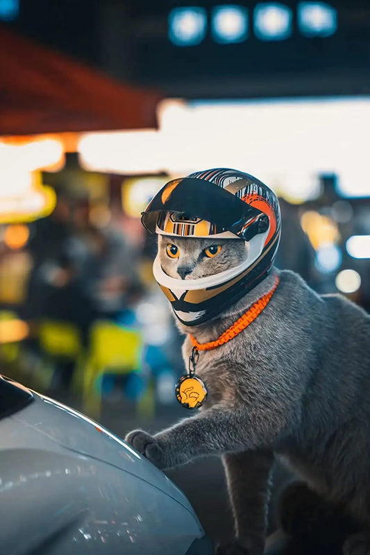 Pet motorcycle helmet