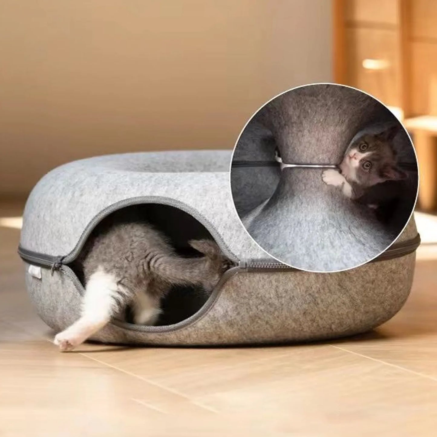 Cats donut tunnel