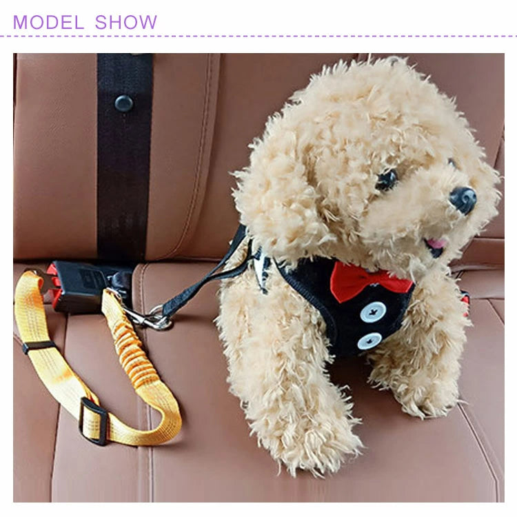 Car safety belt pet leash