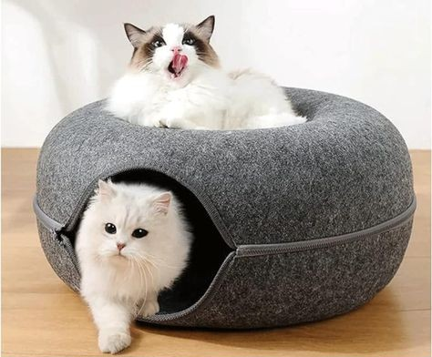 Cats donut tunnel