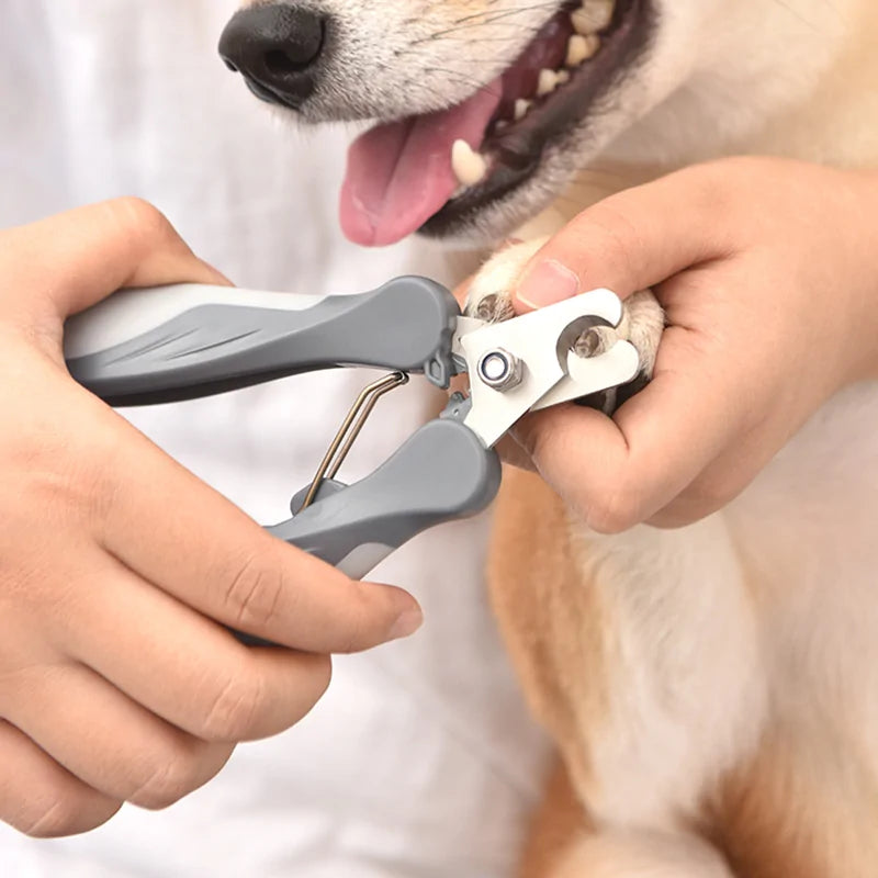 Pet clipper